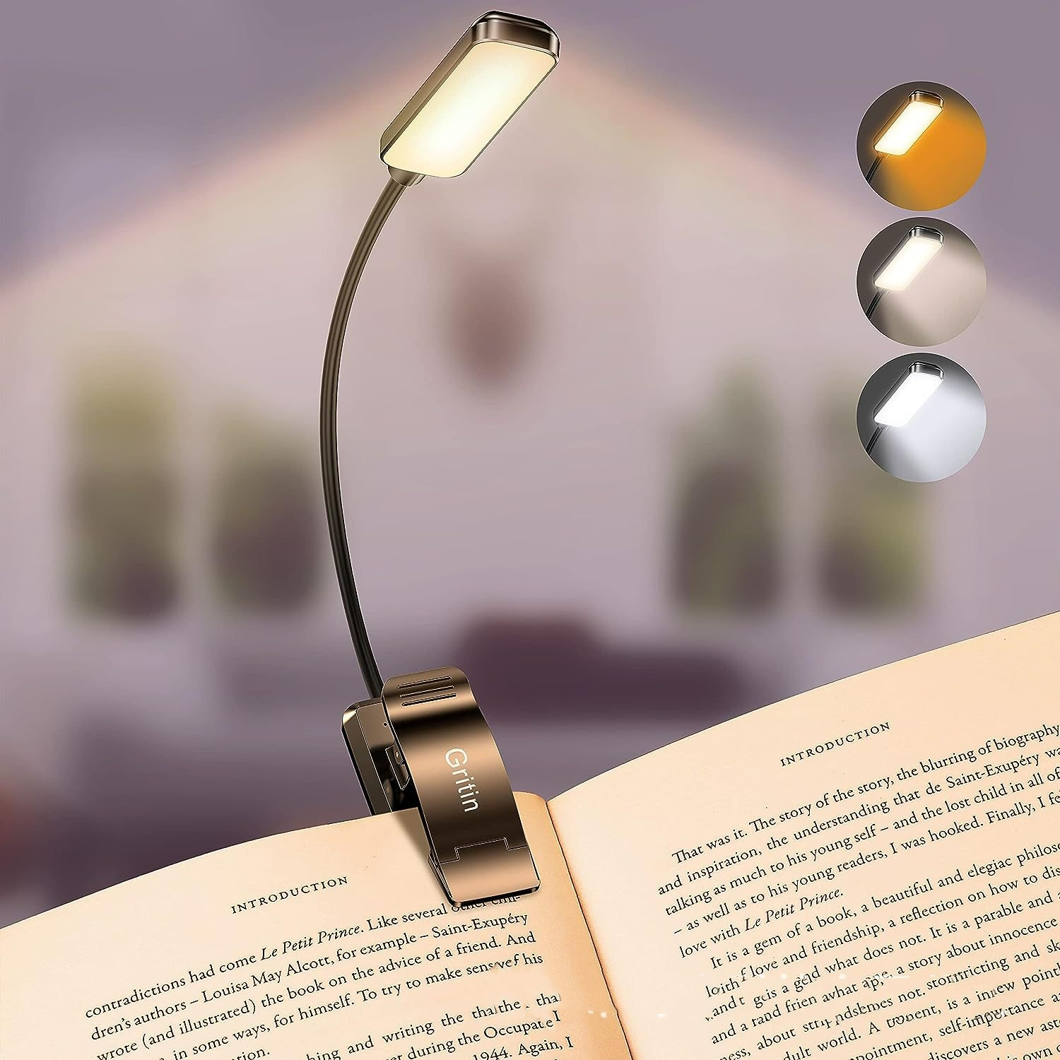Rechargeable LED Reading Light