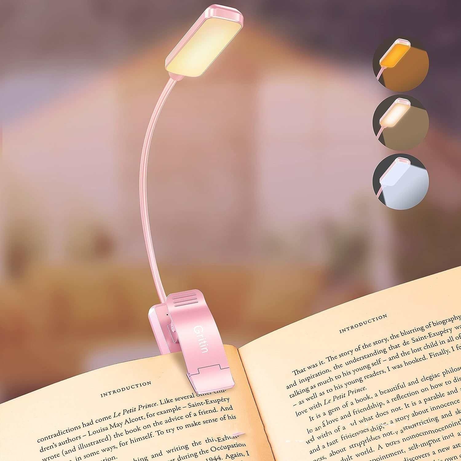 Rechargeable LED Reading Light