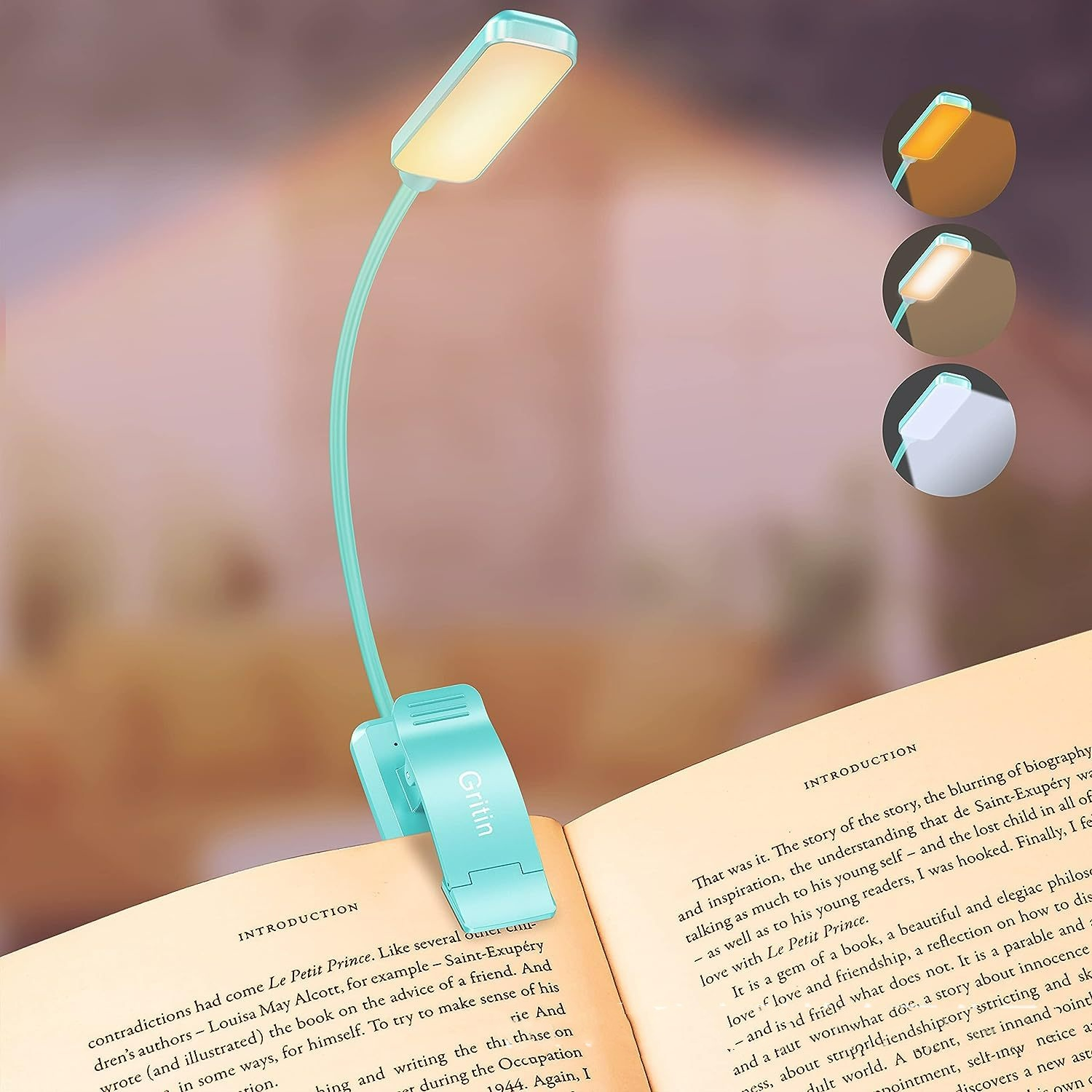 Rechargeable LED Reading Light