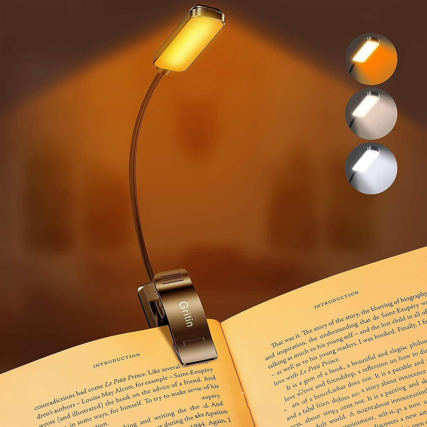 Rechargeable LED Reading Light