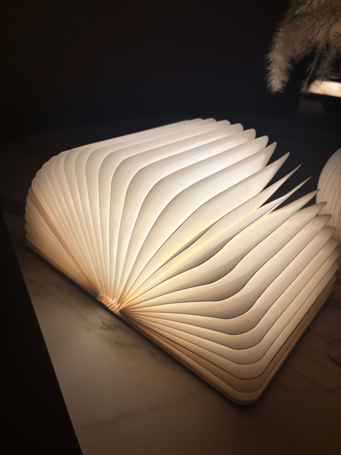 LumiBook