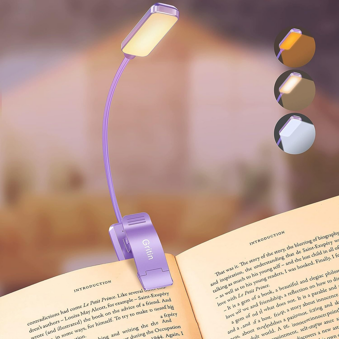 Rechargeable LED Reading Light