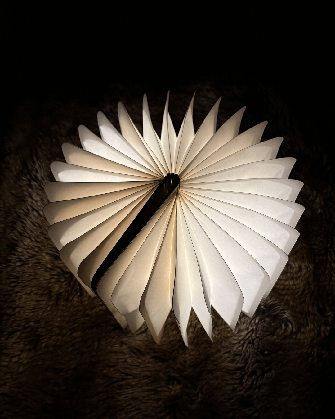 LumiBook